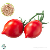 30 Italian Grape Tomato Heirloom Seeds (Vegetable Potted Plants)